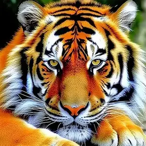 Tiger Pattern DIY Diamond Arts Colorful Painting Kit without Frame, DIY 5D Diamond Arts Colorful Painting Kit, Wall Art Decor for Home