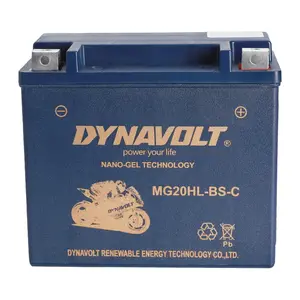 YTX20HL-BS Motorcycle Battery12V 20AH SLA AGM - Maintenance-Free, CCA 300 for ATV, Quad, Golf Cart, Go Kart, and Scooter