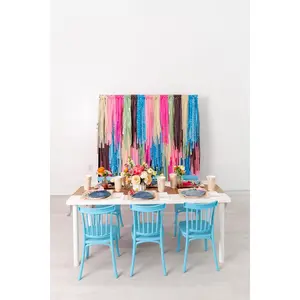 Cowgirl Party Fringe Backdrop
