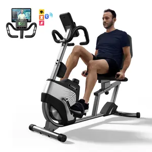 HARISON Magnetic Recumbent Exercise Bike | 350 LBS Capacity