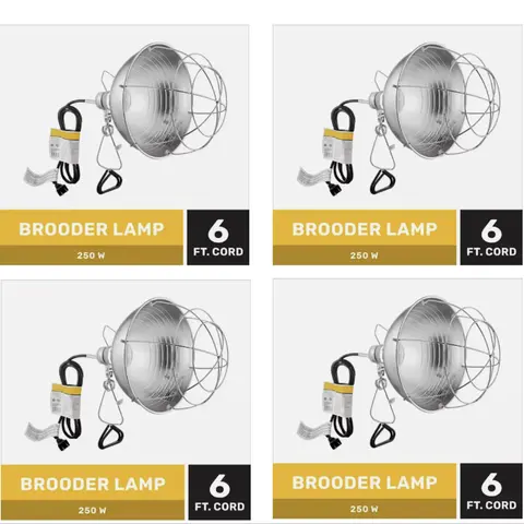Producer's Pride Poultry Brooder Lamp 4-Pack, 250W 120V, 6 ft Cord, Durable Steel Clamp, Adjustable Ball Joint, Vinyl Sleeve, Scratch-Resistant, Reinforced Steel Guard, UL-Listed, Bright 250W Beam, 10.5 in L x 10 in W x 7.5 in H, Type R Bulb Not Included