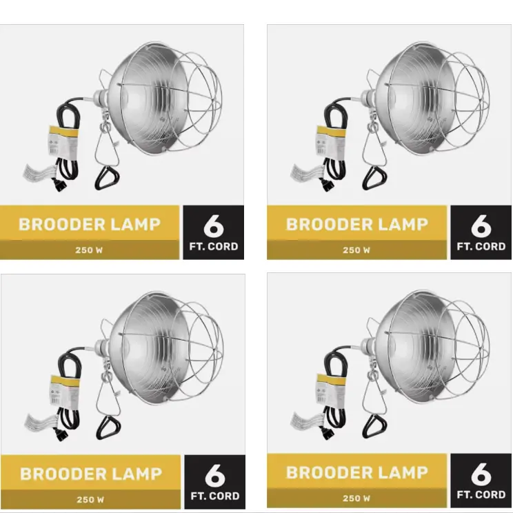Producer's Pride Poultry Brooder Lamp 4-Pack, 250W 120V, 6 ft Cord, Durable Steel Clamp, Adjustable Ball Joint, Vinyl Sleeve, Scratch-Resistant, Reinforced Steel Guard, UL-Listed, Bright 250W Beam, 10.5 in L x 10 in W x 7.5 in H, Type R Bulb Not Included
