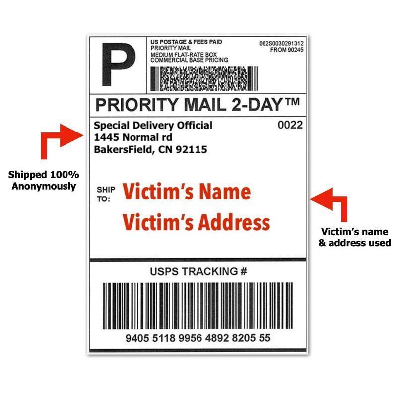 Prank Mail - Gay Cruise Booking Prank Mailer – Funny Gag Gift Packaging for Hilarious Reactions, Perfect for Friends, Birthdays & Surprise Jokes