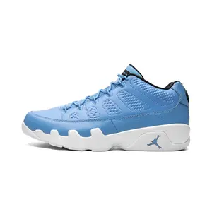 Air Jordan 9 Retro Low "Pantone" 832822 401