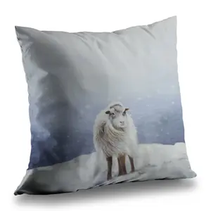 360 stand 14x14 in. Durable Long Hair Sheep Scene Poly Twill Throw Pillow - Twill Weave, Vibrant Print, Rustic Look, Ideal for Home & Office Decor