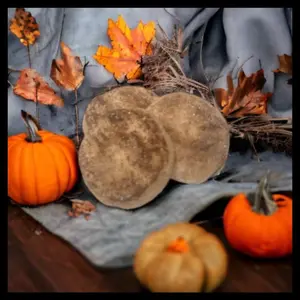 Snickerdoodle cookie fall wax melts