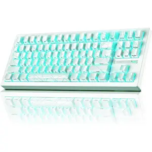 ZORNHER ZH870 Wireless Mechanical Gaming Keyboard 80 White with White Spider Web IMD Keycaps Creamy Linear Switches Hot Swap RGB Backlit