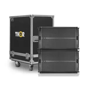Thor TF-12x1A (Pair with case)