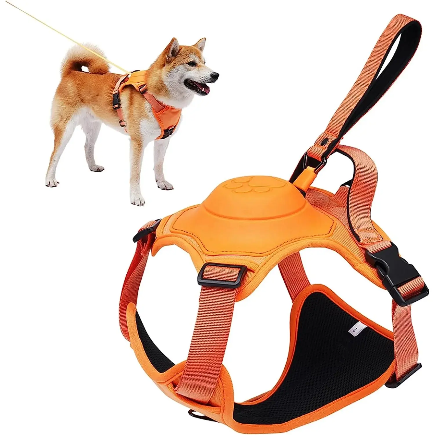 Retractable Leash Set All-in-One