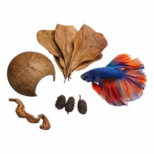 Betta Bundle w/ Coconut Cave, Driftwood, Floating Feeding Ring and Botanicals