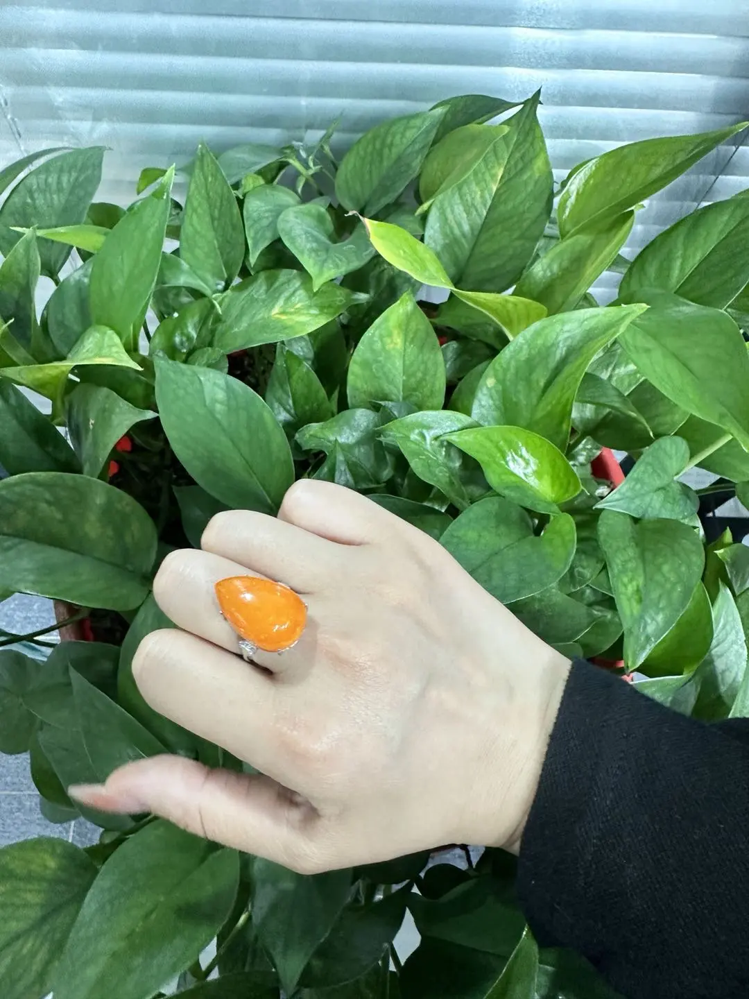 Rose(9568)gc.Orange opal S925