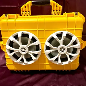 Poor boy speaker box