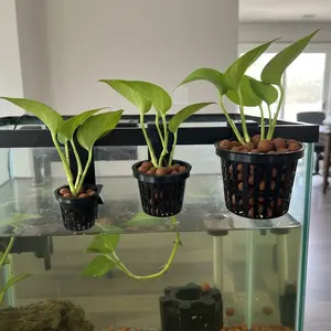 Poth-O-Carry® Solo - Net Pot Holder for Your Aquarium