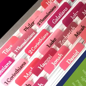 Tabs, Large Print Laminated  Tabs for Women and Girls - Easy to Read  Book Tabs for Study , Index Tabs for Old and  Testament,  Labels Tabs for Christian ,