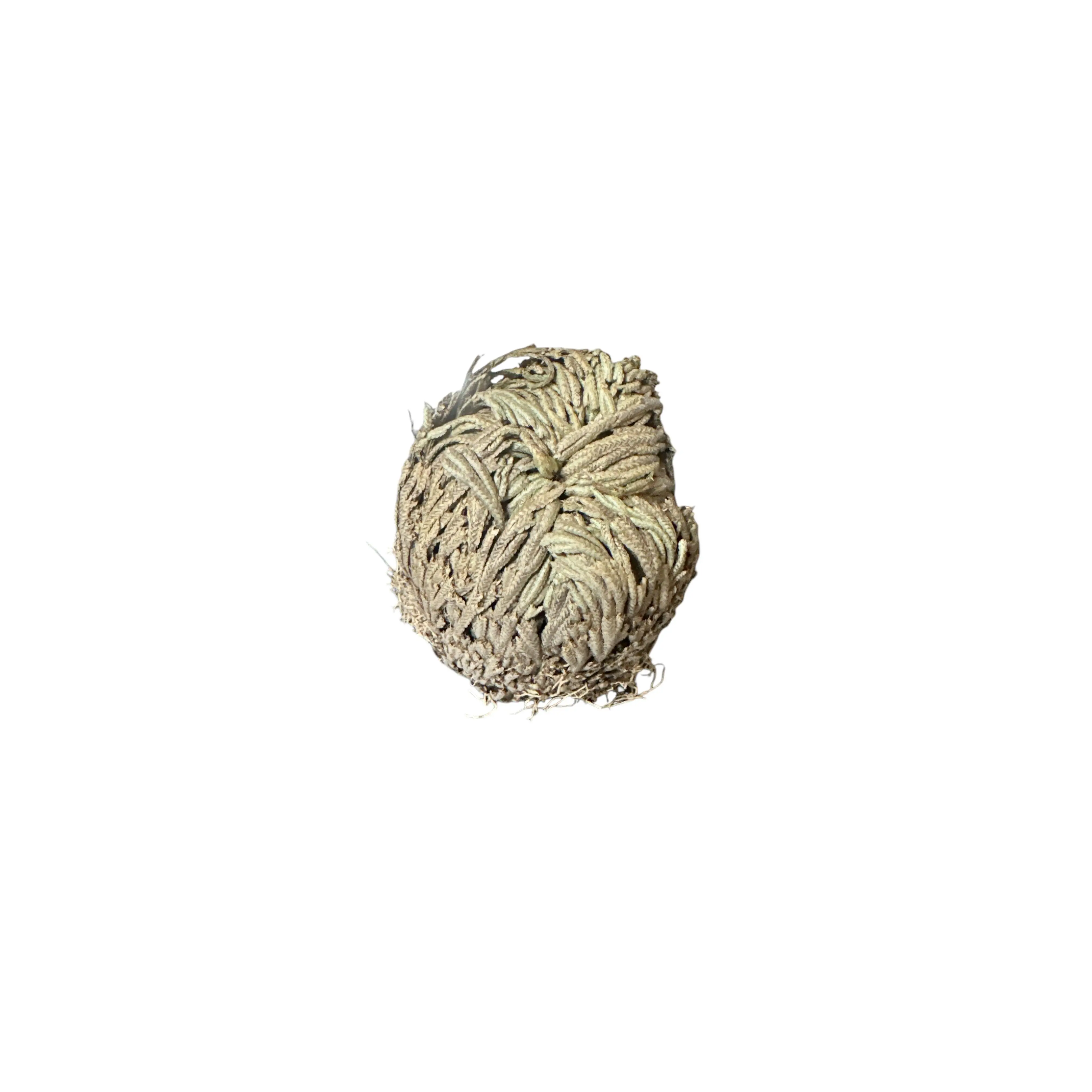 Jerico Flower