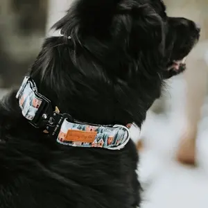 Gingerbread Dog Collar * LIFETIME WARRANTY*