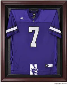 Northwestern Wildcats Mahogany Framed Logo Jersey Display Case