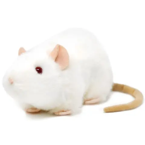 Wylie The White Rat | 7 Inch Stuffed Animal Plush | By TigerHart Toys
