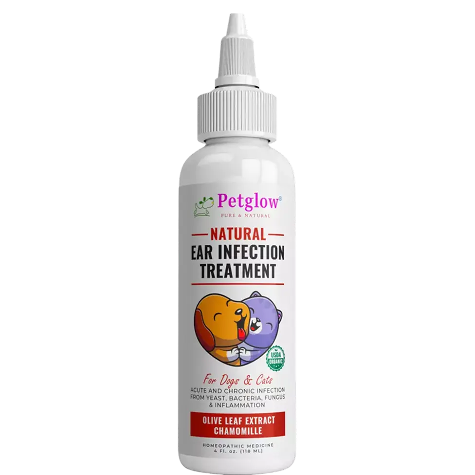 PetGlow Natural Ear Drops for Dogs & Cats 4oz, Olive Leaf Extract & Chamomilla Itchy, inflamed ear Relief Odor