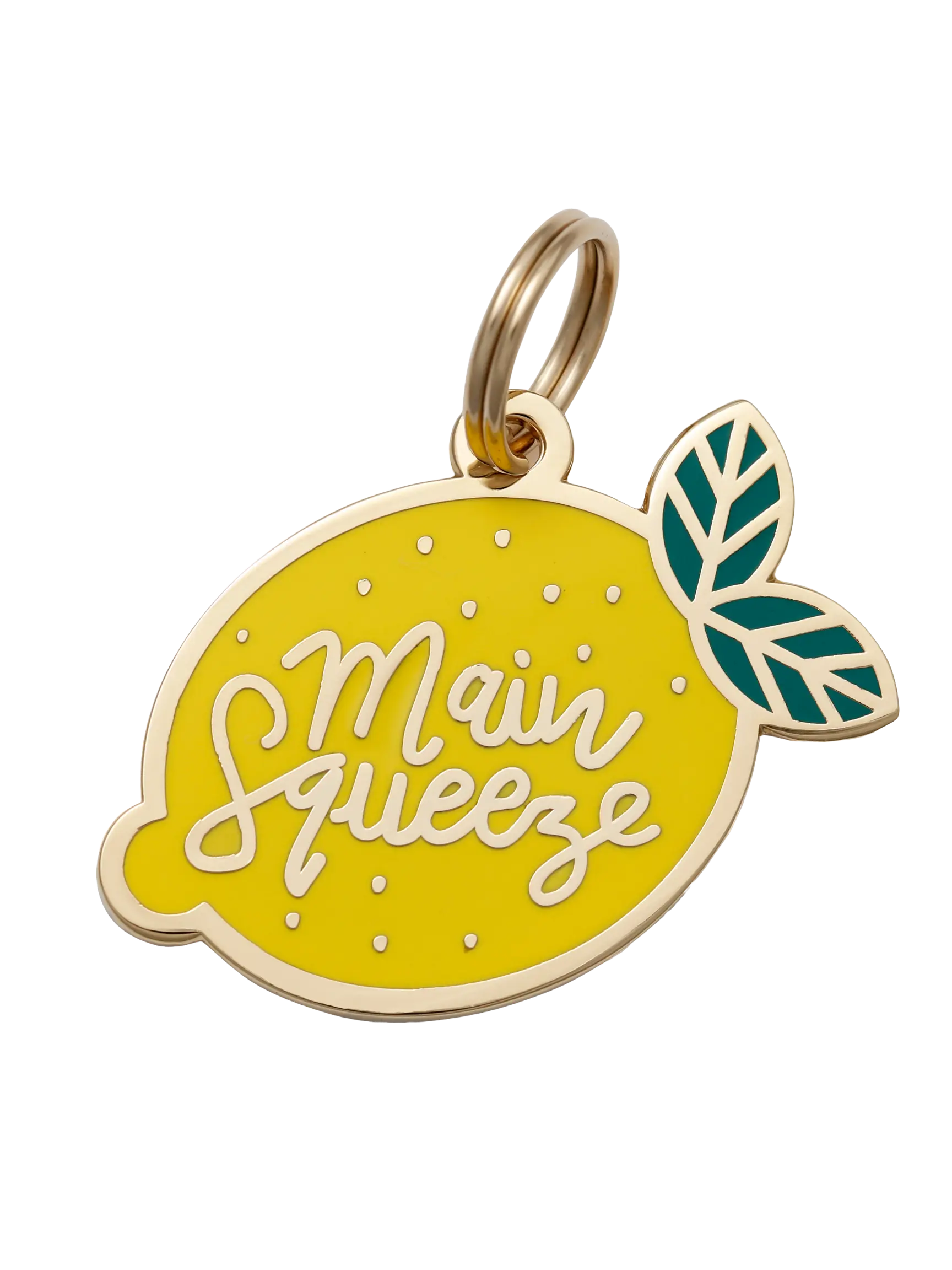 Main Squeeze Pet ID Tag