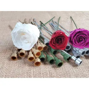 10 Preserved Rose Plastic stems Home decor Wedding decor stem flower plastic stem DIY Floral arrangement Rose stem 8" Tall