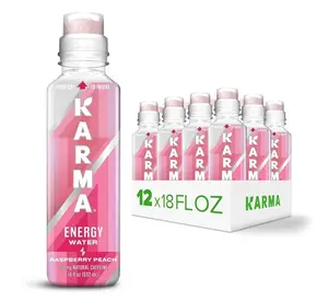 Karma Energy Drink – 12 Pack, Raspberry Peach Caffeinated Water with Cognizin Nootropics, Vitamins & Immune Support, Low Calorie
