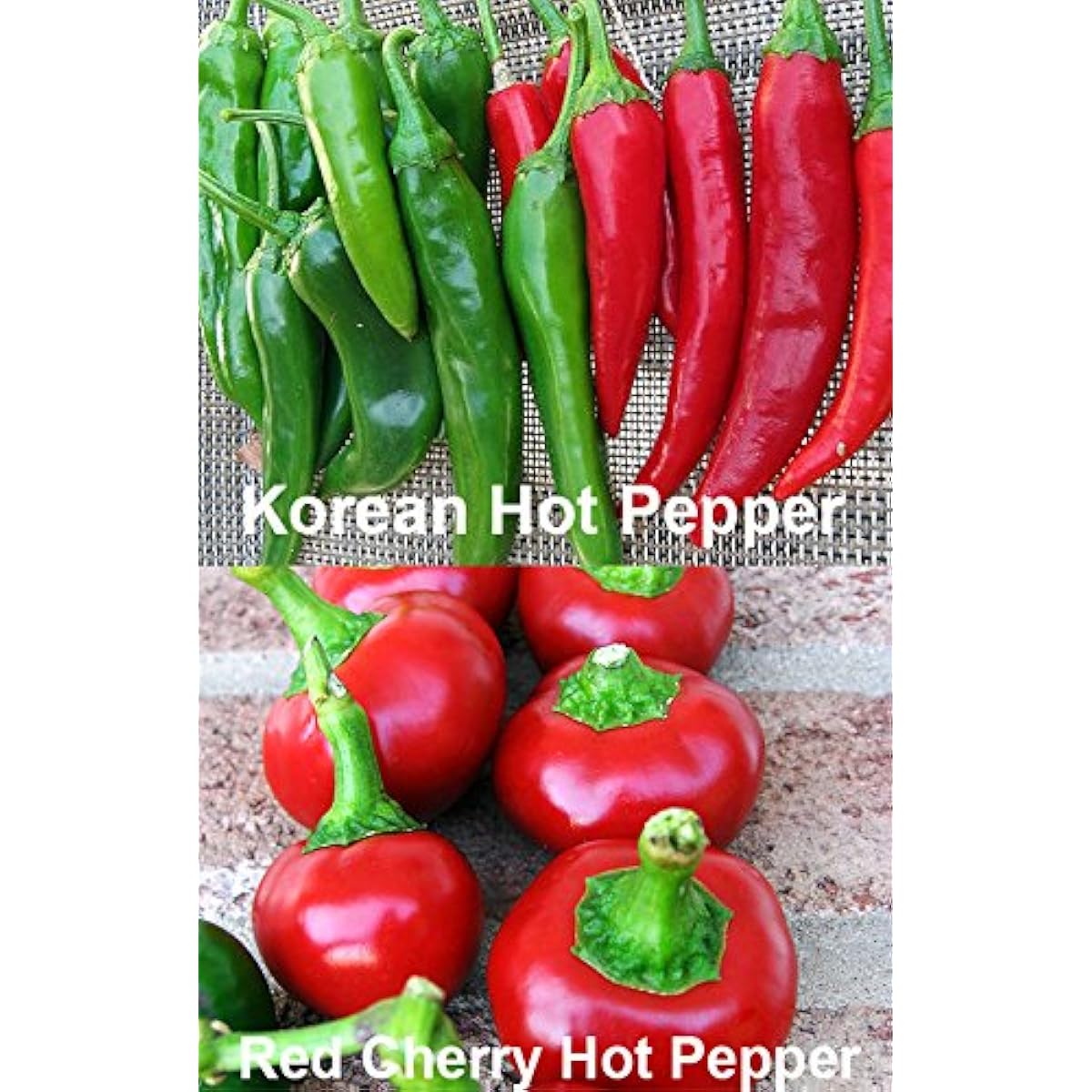 Please Read This is A Mix 30 Hot Pepper Mix Seeds 16 Varieties Non-GMO , Tabasco, Jalapeno, Yellow and Red Scotch Bonnet, Jalapeno Habanero US Grown Capsicum annuum