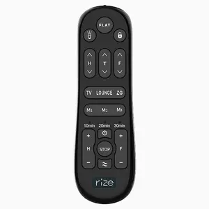 Remote (2310077)