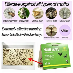 10 Pack Clothes Moth Traps Safe and Effective for Food and Clothing- Glue Traps with Pheromones for Wool Closet Carpet Food and Cupboard,Pantry Moth Trap