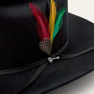 Stetson Brand 2 Plumas Feathers for Texana Stetson Hats Natural Colors Red Green Yellow Black Customize Straw Felt Hats
