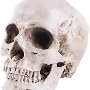 Yooperlite Skull (Cheaper On Live)