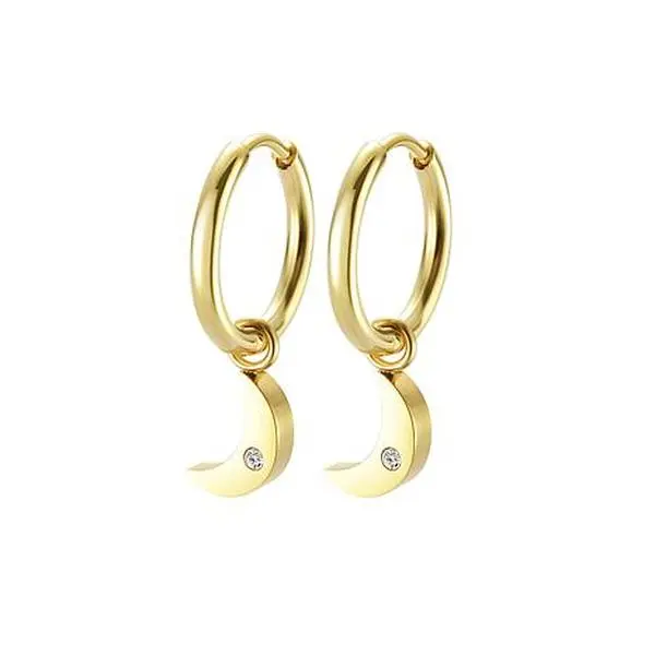 Stately Steel Stainless Steel Moon CZ Dangle Earrings