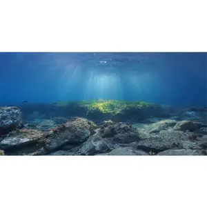 AWERT Ocean Floor Fish Tank Background Underwater Stone Aquarium Background 36x20 inches Vinyl