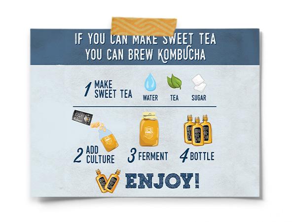 Kombucha Essentials Kit