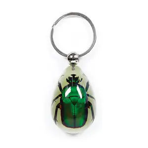 Glow In The Dark Pendant Keychain with Real Green Rose Chafer Beetle