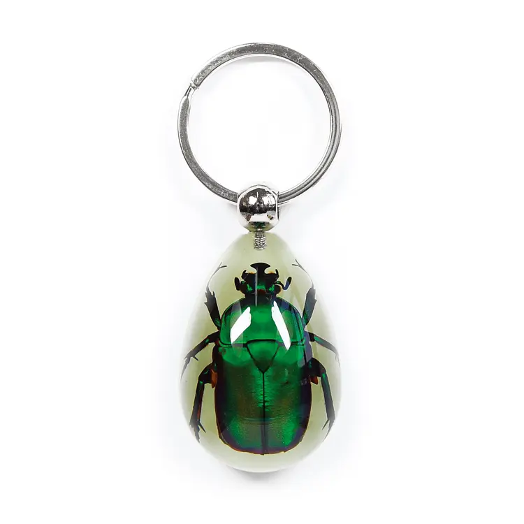 Glow In The Dark Pendant Keychain with Real Green Rose Chafer Beetle