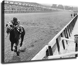 Secretariat Wins Triple Crown At Belmont Poster Canvas Pictures Print Wall Art for Living Room Bedroom Decor Decoration Artistic Ornaments Gift