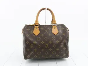 Pre-owned Louis Vuitton other Travel Bag Speedy 25 handbag 11508151721/896989