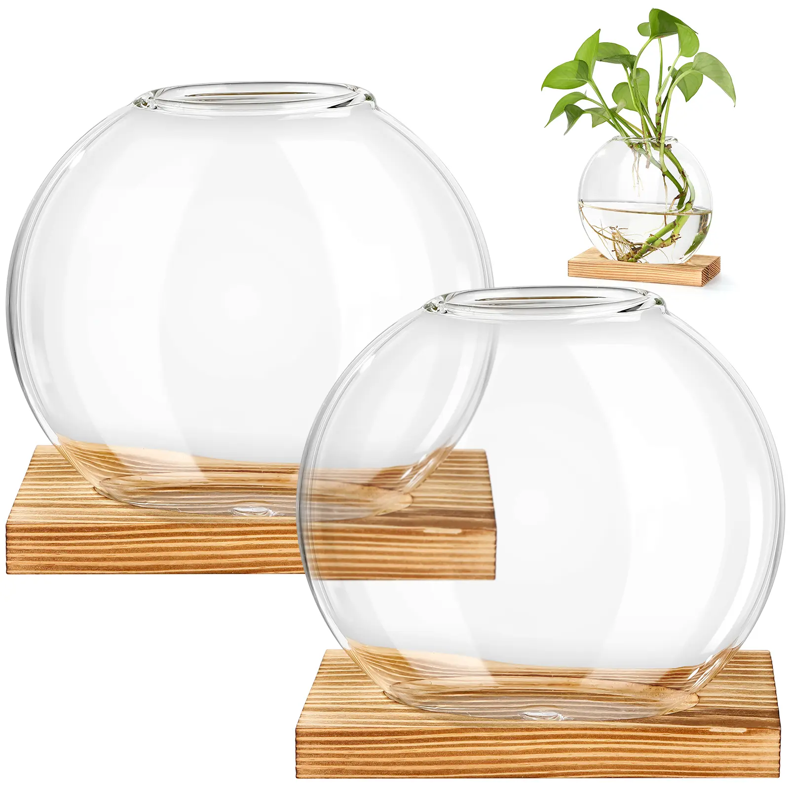 2PCS Glass Plant Terrarium & Propagation Station - Transparent Desktop Vase with Wooden Base, Decorative Flower Pot for Indoor Hydroponics, Thick Glass with Smooth Opening, Home Decor for Coffee Table
