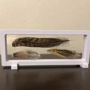 3D Framed Real Feather Home Decor decor photo trippy wall office desk creative display picture hang