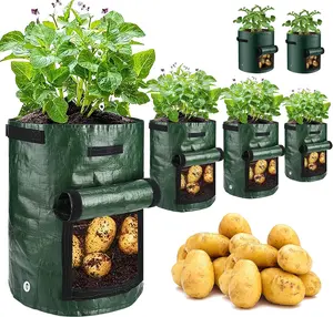 Garden potato grow bags, 10-gallon planting bags (set of 6), potato planting containers with flap and handles, breathable fabric planters, heavy-duty