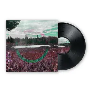First Pressing, Limited Edition Free Whenever Self-Titled LP on Vinyl