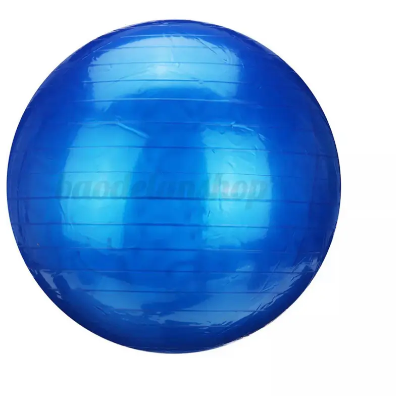 Yoga Ball - Anti-Burst Exercise Ball for Home Gym, Core Strength Training