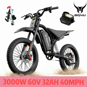 【BIGNIU BG-S PRO】Adult Electric Bike – 19-inch tires,  60V 32A battery, dual hydraulic brakes, suitable for both off-road and city riding. BGS Pro.