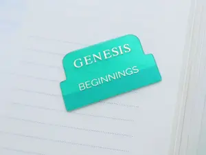 Green Transparent Bible Tabs with Gold Letters Books of the Bible English Bible Tabs Peel and Stick Christian Book Themes