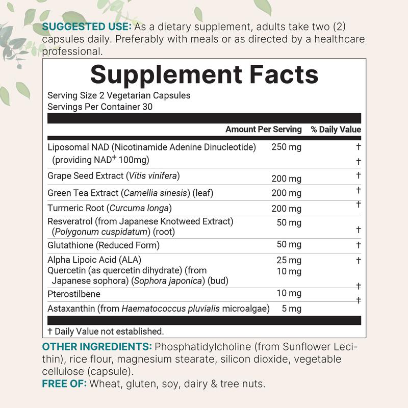 Micro Ingredients Liposomal NAD+ Ultimate 1,000mg, 60 Veggie Capsules