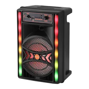 8-Inch Large Driver Wireless Speaker with Wired Microphone, High-Volume PA Party SoundBox with Built-In LED Lights, DC 5V Powered Media Player Supporting FM Radio & TWS Mode