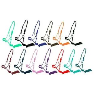 Training cowboy knot halter with four knot pressure points and lead