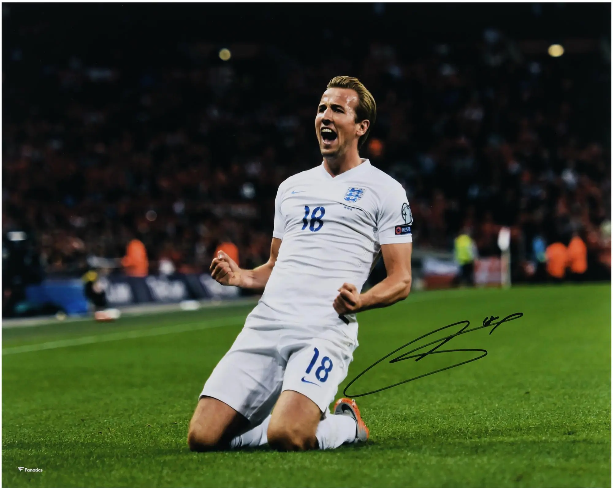 Harry Kane England National Team Autographed 16" x 20" Goal Celebration Photograph - Fanatics Authentic Certified