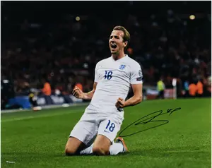Harry Kane England National Team Autographed 16" x 20" Goal Celebration Photograph - Fanatics Authentic Certified